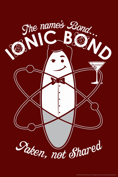 The Names Bond...Ionic Bond Taken Not Shared Science Funny Cool Wall Art Print Poster 12x18