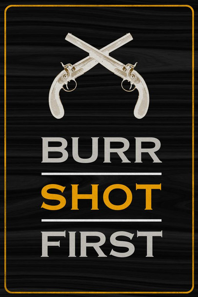 Laminated Aaron Burr Shot First Funny Poster Dry Erase Sign 12x18