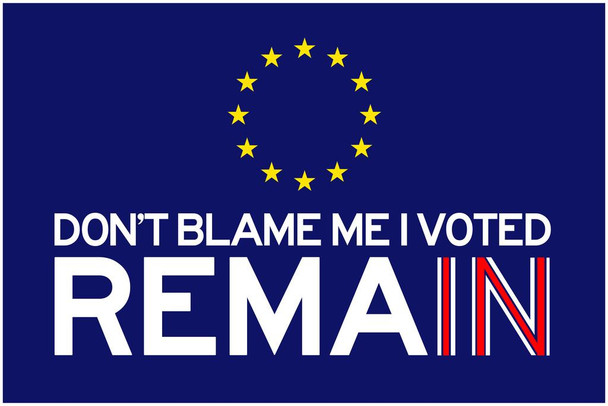 Laminated Dont Blame Me I Voted Remain Political Poster Dry Erase Sign 12x18