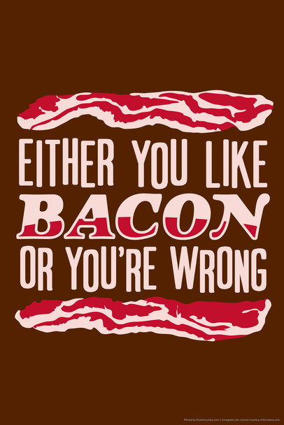 Either You Like Bacon Or Youre Wrong Humor Cool Wall Art Print Poster 12x18