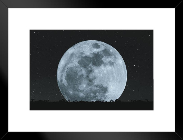 Full Moon At Night With Stars Silhouette Grass Lawn Photo Matted Framed Art Print Wall Decor 26x20 inch