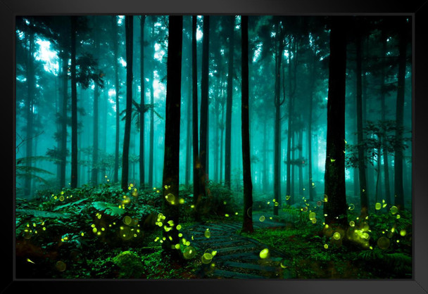 Fireflies Glowing Summer Forest At Night Landscape Photo Firefly Poster Insect Wall Art Glowing Posters Forest Poster Cool Poster Aesthetic Insect Art Matted Framed Art Wall Decor 26x20