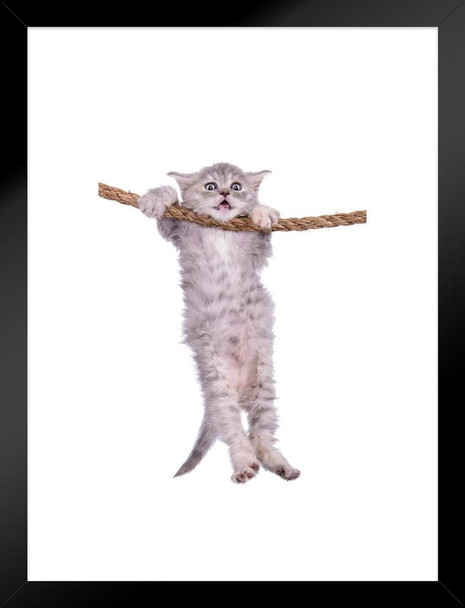 Kitten Hanging Onto Rope Hang in There Cat Poster Funny Wall Posters Kitten Posters for Wall Motivational Cat Poster Funny Cat Poster Inspirational Cat Poster Matted Framed Art Wall Decor 20x26