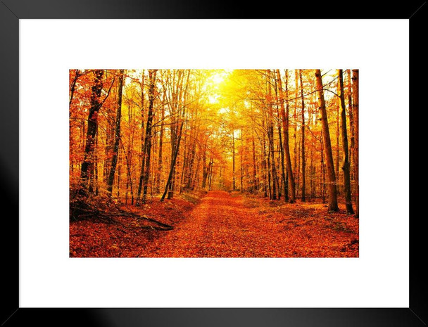 Fiery Red Tree Leaves Autumn Forest Road Photo National Mountain Nature Landscape Park Scenic Scenery Parks Picture America Trees Foliage Trail Matted Framed Art Wall Decor 26x20