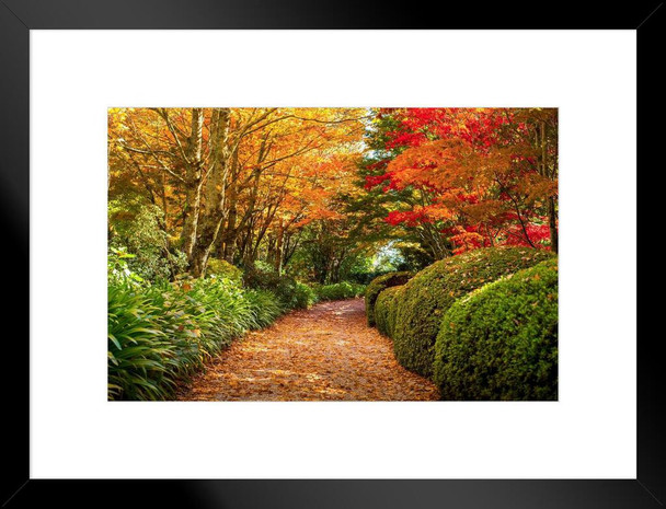 Footpath in Autumn Season Mount Wilson Australia Photo Matted Framed Art Print Wall Decor 26x20 inch