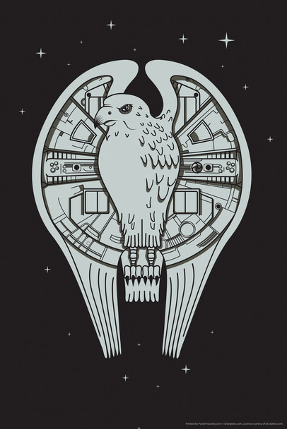 Fastest Falcon In The Universe Parody Movie Humor Cool Wall Art Print Poster 12x18