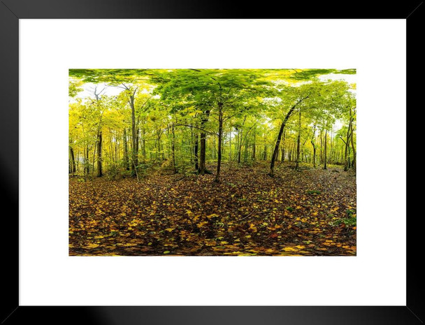 Autumn in Forests of Norway 360 Degree Panorama Photo Matted Framed Art Print Wall Decor 26x20 inch