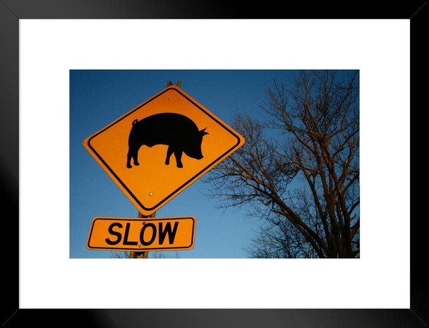 Pig Crossing Rural Kentucky Road Directional Sign Photo Matted Framed Art Print Wall Decor 26x20 inch