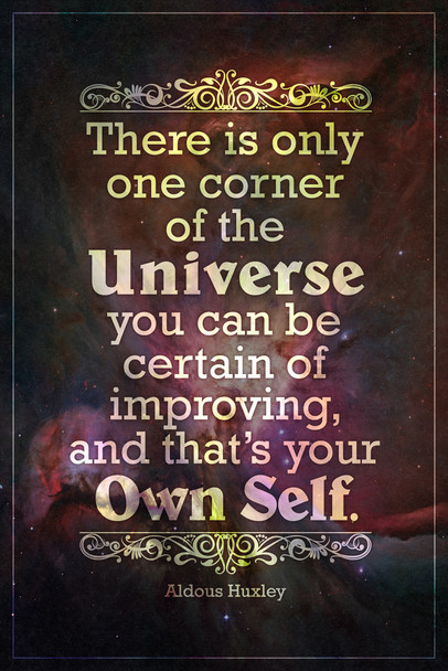 Theres Only One Corner of The Universe You Can Improve Aldous Huxley Motivational Cool Wall Art Print Poster 12x18