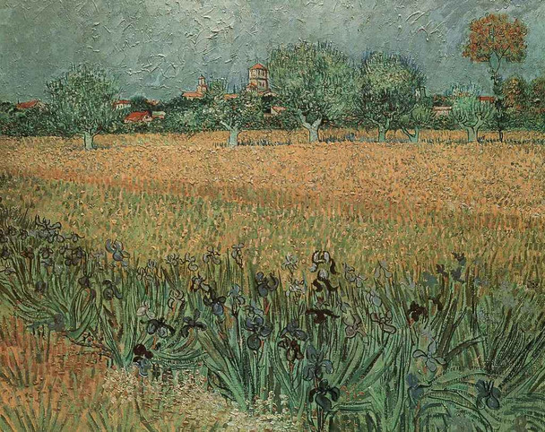 Vincent Van Gogh View Of Arles With rises In The Foreground 1888 Oil On Canvas Art Cool Wall Art Print Poster 18x12