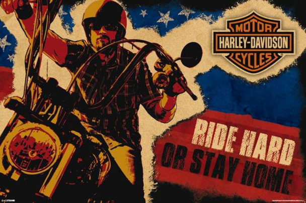 Harley Davidson Ride Hard Cool Wall Decor Art Print Poster 36x24