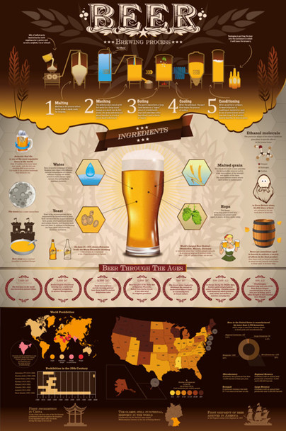 Beer Brewing Process Cool Wall Decor Art Print Poster 24x36