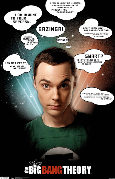 The Big Bang Theory Quotes Television TV Show Series Poster 22x34 inch