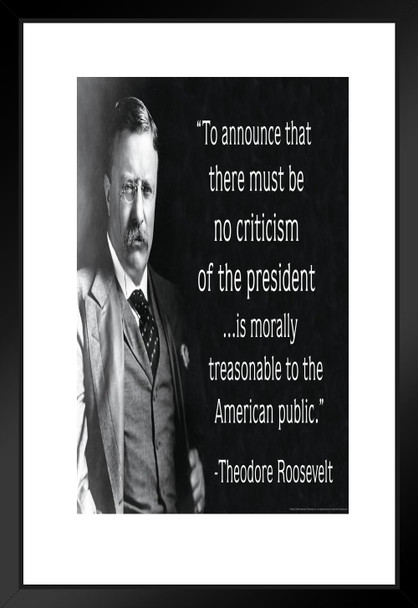 Theodore Roosevelt Criticism of the President Famous Motivational Inspirational Quote Matted Framed Art Print Wall Decor 20x26 inch