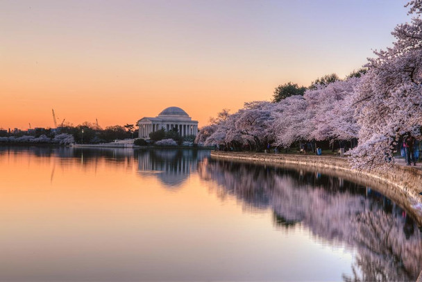 Laminated Jefferson Memorial at Sunrise Washington DC Photo Art Print Poster Dry Erase Sign 18x12