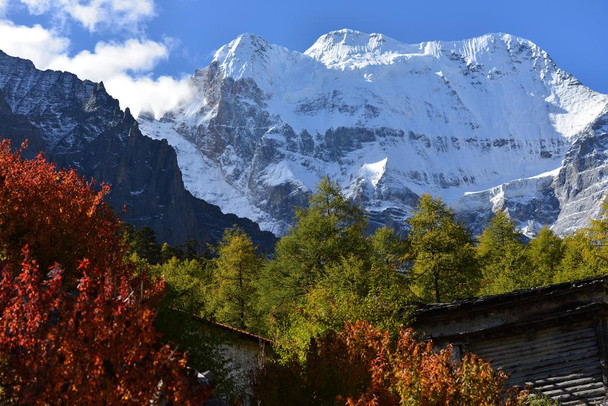 Laminated Snowy Mountain and Trees in Rural Landscape Photo Art Print Poster Dry Erase Sign 18x12