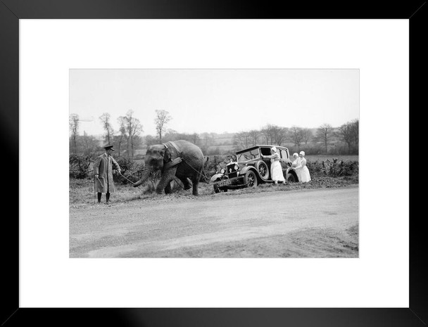 Heave Ho Elephant Pulling Car Out Of Ditch B&W Photo Matted Framed Art Print Wall Decor 26x20 inch