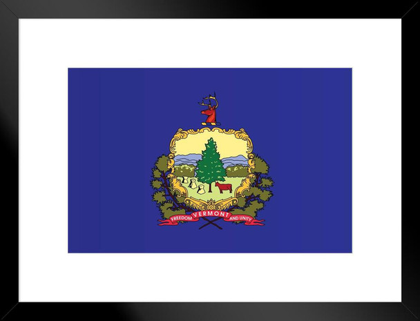 Vermont State Flag New England Green Mountain State Flag Education Patriotic Posters American Flag Poster of Flags for Wall Decor Flags Poster US Matted Framed Art Wall Decor 20x26