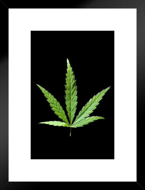 Marijuana Cannabis Weed 420 Leaf Photo Matted Framed Art Print Wall Decor 20x26 inch