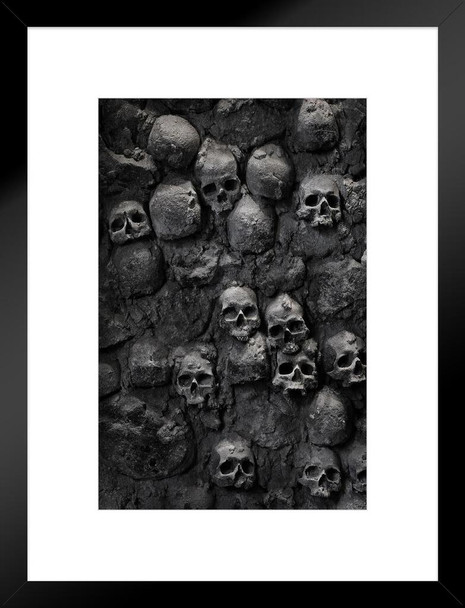 Skulls Stacked in Wall Skeleton Spooky Horror Photo Photograph Human Anatomy Scary Matted Framed Art Wall Decor 20x26