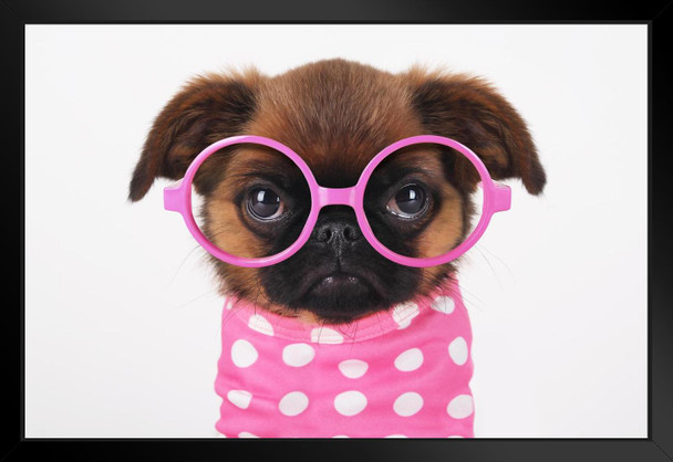 Funny Cute Puppy in Hot Pink Sunglasses Puppy Posters For Wall Funny Dog Wall Art Dog Wall Decor Puppy Posters For Kids Bedroom Animal Wall Poster Cute Animal Matted Framed Art Wall Decor 26x20