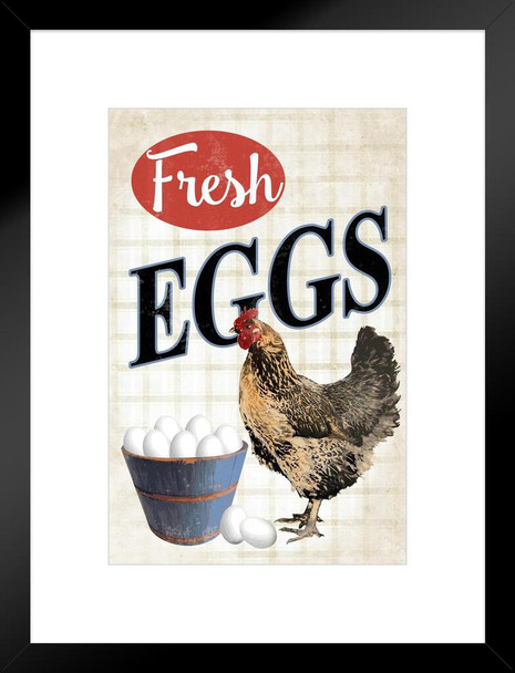 Fresh Chicken Eggs Art Chicken Decor Hen Art Farm Kitchen Wall Art Chicken Cool Chicken Poster Chicken Decor Hen Art Farm Kitchen Wall Art Fresh Chicken Eggs Matted Framed Art Wall Decor 20x26