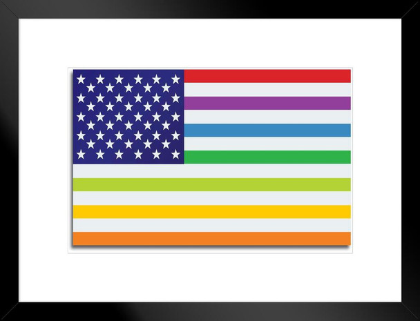 USA United States Rainbow Gay Lesbian Rights Flag Matted Framed Art Print Wall Decor 26x20 inch