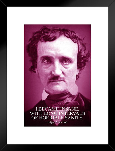 Edgar Allan Poe I Became Insane Purple Famous Motivational Inspirational Quote Matted Framed Wall Art Print 20x26 inch