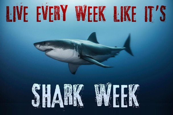 Laminated Live Every Week Like Its Shark Week Motivational Sign Poster 12x18 inch