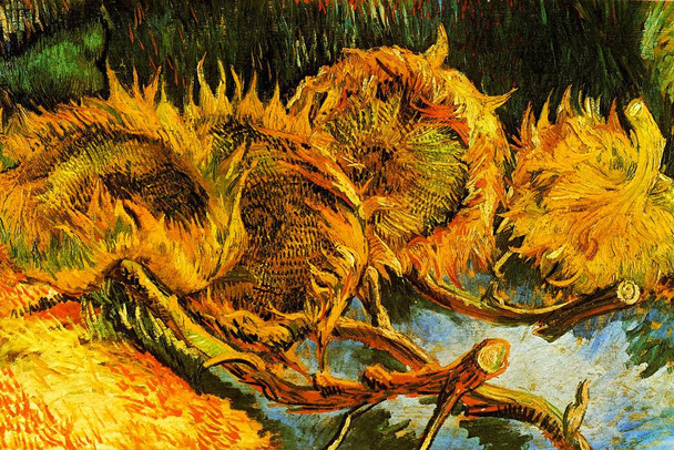 Laminated Vincent Van Gogh Four Sunflowers Gone to Seed Van Gogh Wall Art Impressionist Painting Style Nature Spring Flower Wall Decor Landscape Bouquet Romantic Artwork Poster Dry Erase Sign 18x12