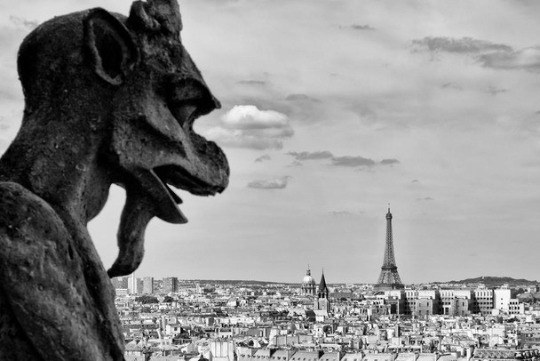 Laminated Gargoyle Notre Dame Cathedral Paris France Black and White Photo Art Print Poster Dry Erase Sign 18x12