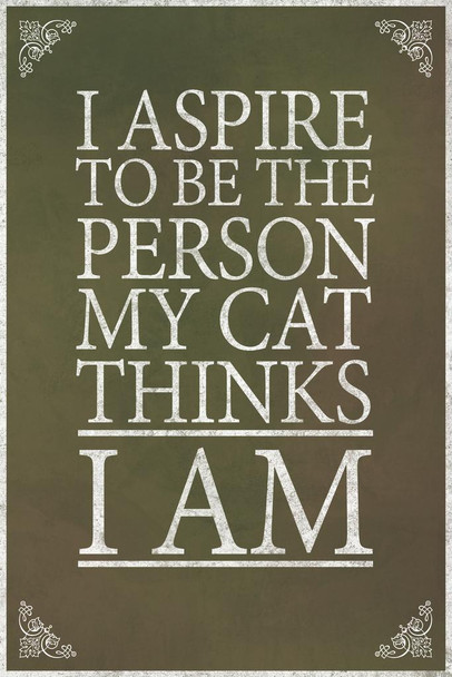 I Aspire To Be The Person My Cat Thinks I Am Brown Cool Wall Art Print Poster 24x36