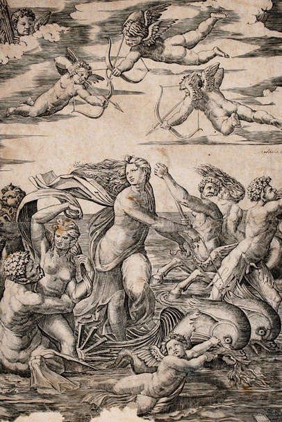 Raphael Triumph of Galatea Engraving Angel Realism Romantic Artwork Raffaello Prints Biblical Drawings Portrait Painting Wall Art Renaissance Posters Canvas Art Cool Wall Art Print Poster 24x36