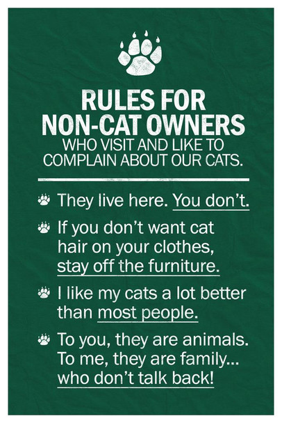 Cat Rules For Non Pet Owners Funny Decor Cool Wall Art Print Poster 24x36