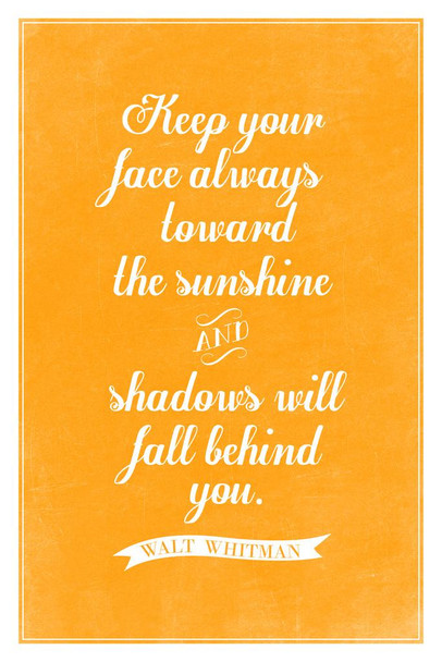Walt Whitman Keep Your Face Always Toward the Sunshine Orange Cool Wall Art Print Poster 24x36