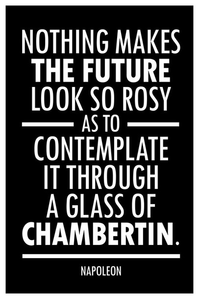 Napoleon Bonaparte Nothing Makes The Future Look So Rosy Black Cool Wall Art Print Poster 24x36