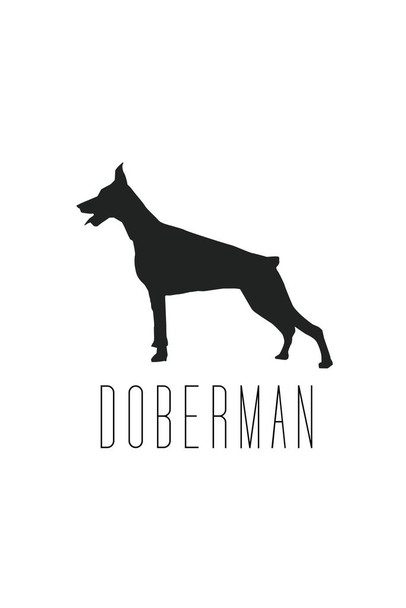 Dogs Doberman Pinscher White Dog Posters For Wall Funny Dog Wall Art Dog Wall Decor Dog Posters For Kids Bedroom Animal Wall Poster Cute Animal Posters Cool Wall Art Print Poster 24x36
