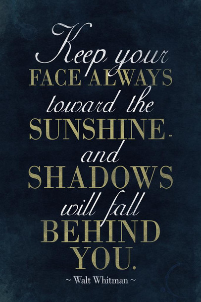 Laminated Walt Whitman Keep Your Face Always Toward the Sunshine II Blue Poster Dry Erase Sign 12x18