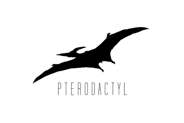 Laminated Dinosaur Pterodactyl White Dinosaur Poster For Kids Room Dino Pictures Bedroom Dinosaur Decor Dinosaur Pictures For Wall Dinosaur Wall Art Prints for Walls Poster Dry Erase Sign 18x12