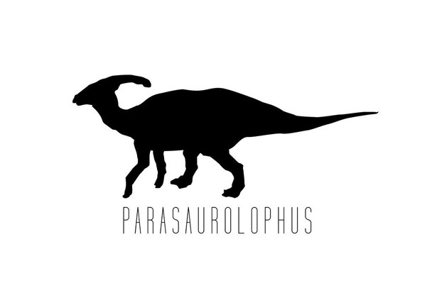 Laminated Dinosaur Parasaurolophus White Dinosaur Poster For Kids Room Dino Pictures Bedroom Dinosaur Decor Dinosaur Pictures For Wall Dinosaur Wall Art Prints for Walls Poster Dry Erase Sign 18x12