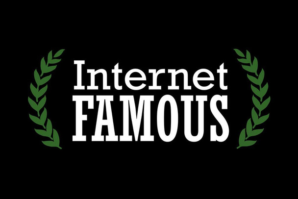 Laminated Internet Famous Black Poster Dry Erase Sign 18x12