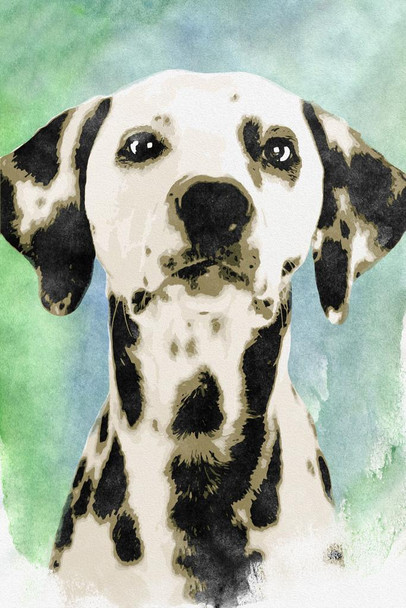 Laminated Dogs Dalmation Painting Color Splash Dog Posters For Wall Funny Dog Wall Art Dog Wall Decor Dog Posters For Kids Bedroom Animal Wall Poster Cute Animal Posters Poster Dry Erase Sign 12x18