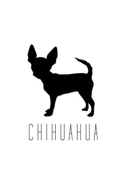 Laminated Dogs Chihuahua White Puppy Posters For Wall Funny Dog Wall Art Dog Wall Decor Puppy Posters For Kids Bedroom Animal Wall Poster Cute Animal Posters Poster Dry Erase Sign 12x18