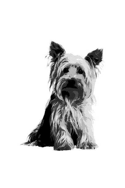 Laminated Yorkshire Terrier Painting Black White Puppy Posters For Wall Dog Wall Art Dog Wall Decor Puppy Posters For Kids Bedroom Animal Wall Poster Cute Animal Posters Poster Dry Erase Sign 12x18