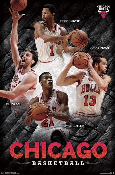 Chicago Bulls Team Collage Players NBA Basketball Sports Poster 22x34