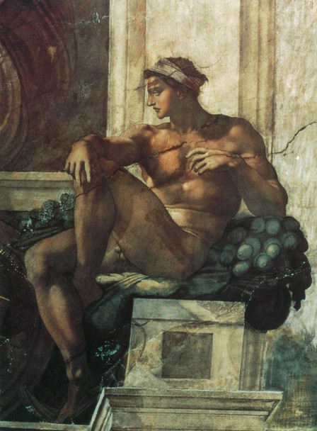 Laminated Michelangelo Ignudi From Creation Sun Moon Plants Fine Art Realism Romantic Artwork Michelangelo Prints Biblical Drawings Portrait Renaissance Painting Wall Art Poster Dry Erase Sign 12x18