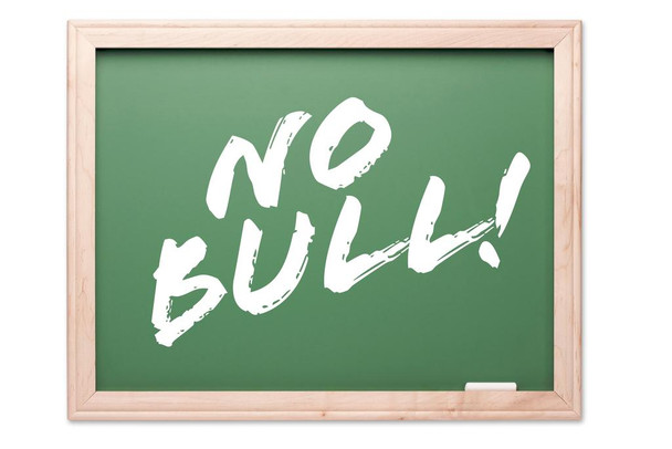 No Bull Motivational Chalkboard Classroom Art Print Laminated Dry Erase Sign Poster 18x12
