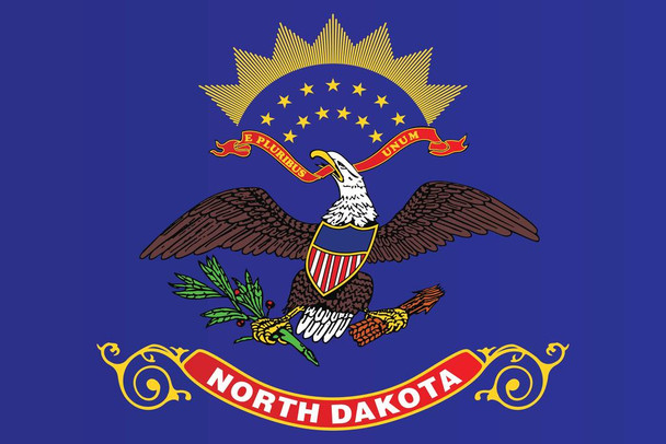 Laminated North Dakota State Flag Bismarck Fargo State Flag Education Patriotic Posters American Flag Poster of Flags for Wall Decor Flags Poster US Poster Dry Erase Sign 12x18