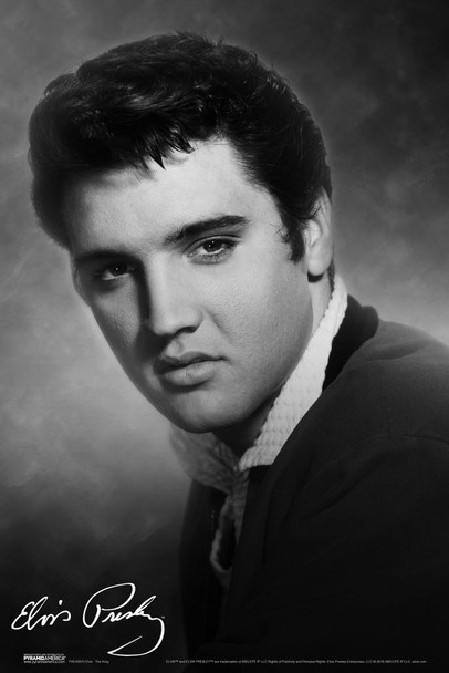 Elvis Presley The King Music Laminated Dry Erase Sign Poster 12x18