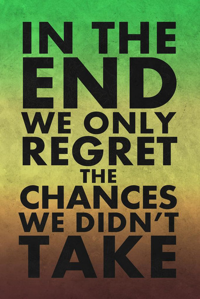 Laminated In The End We Only Regret The Chances We Didnt Take Colorful Motivational Poster Dry Erase Sign 12x18